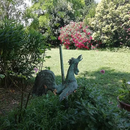 Bed & Breakfast D'hote - Mas Le Barret Arles