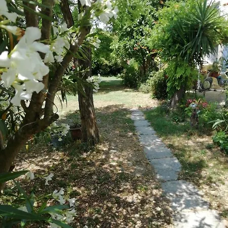 D'hote - Mas Le Barret Bed & Breakfast